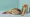 4 Best Practices for Choosing Cheap Championship Belts